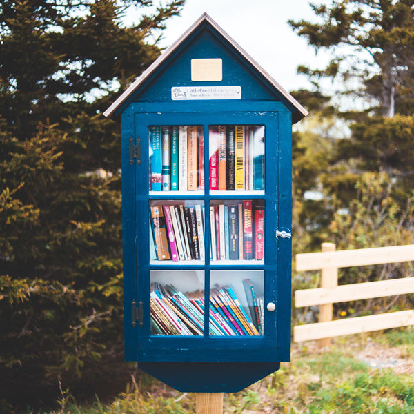 The Little Free Libraries